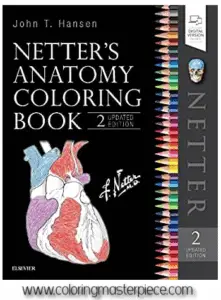Are Anatomy Coloring Books Helpful to Study?
