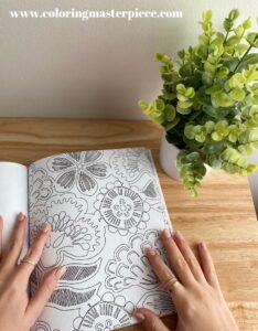 Beginners Start Guide for Adult Coloring Books for Artists