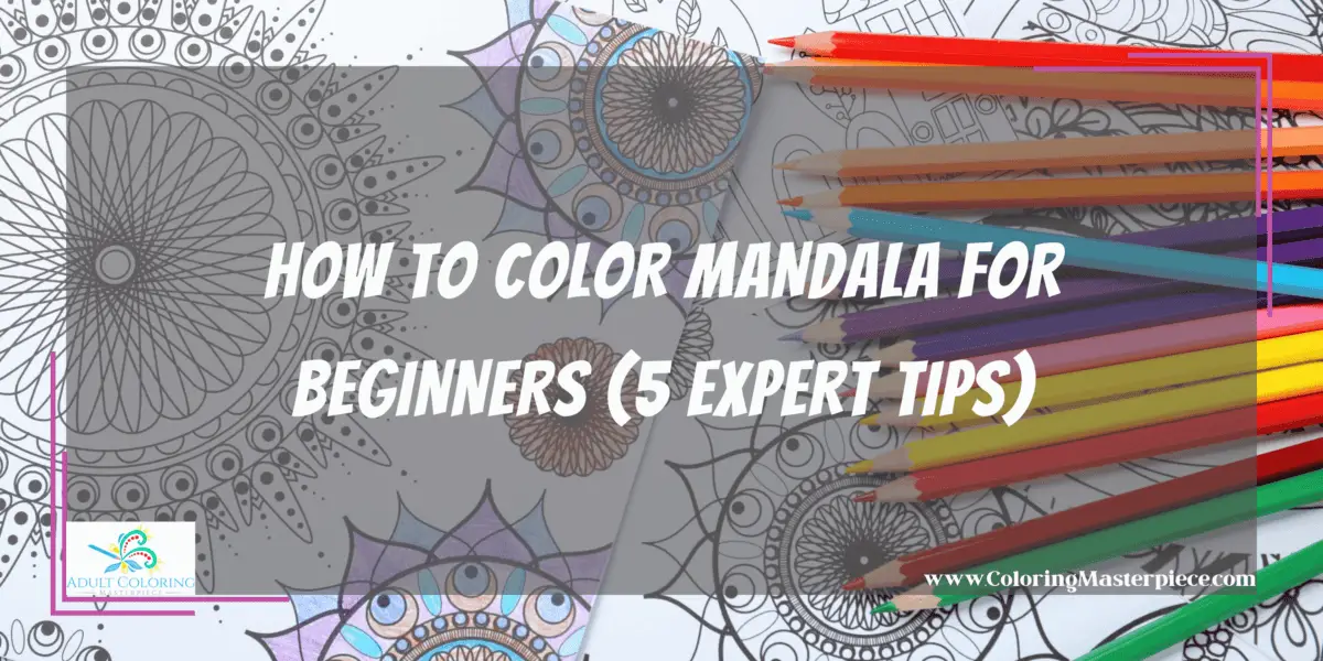 How To Color Mandala For Beginners 5 Expert Tips Adult Coloring How To Color Mandala For Beginners 5 Expert Tips Adult Coloring