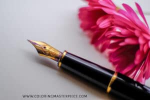 Fountain Pen vs Calligraphy Pen: Which is Better?