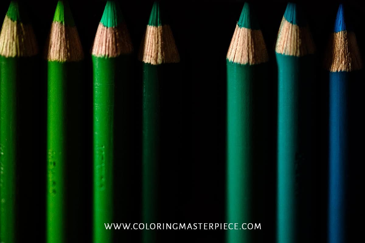 Are Polychromos Better than Prismacolor? Polychromos Vs Prismacolor