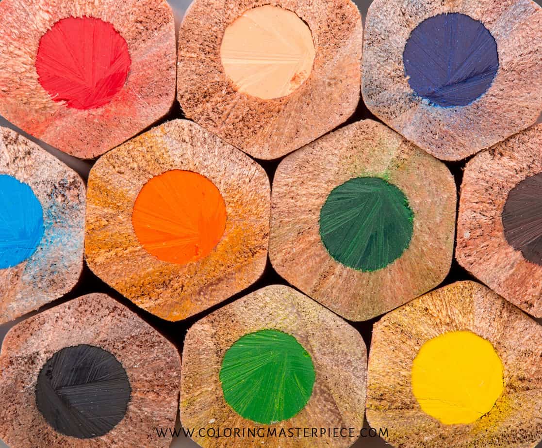 Are Polychromos Better than Prismacolor? Polychromos Vs Prismacolor