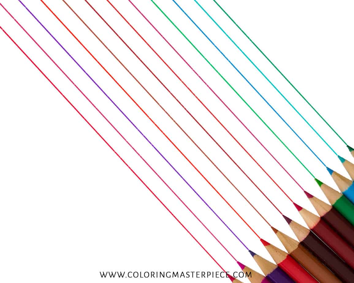 Are Polychromos Better than Prismacolor? Polychromos Vs Prismacolor